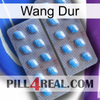 Hard Wang viagra4